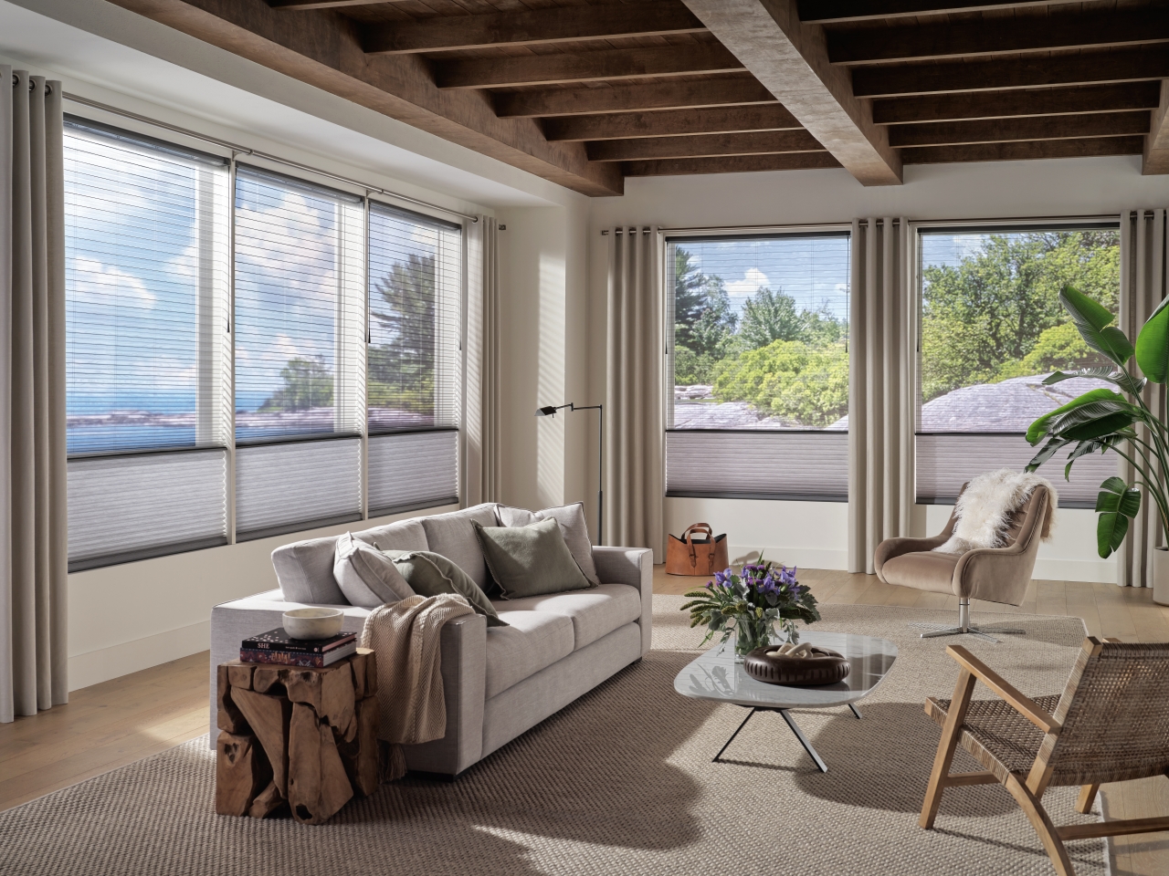Living room with honeycomb shades and linen drapery framing sunlit windows